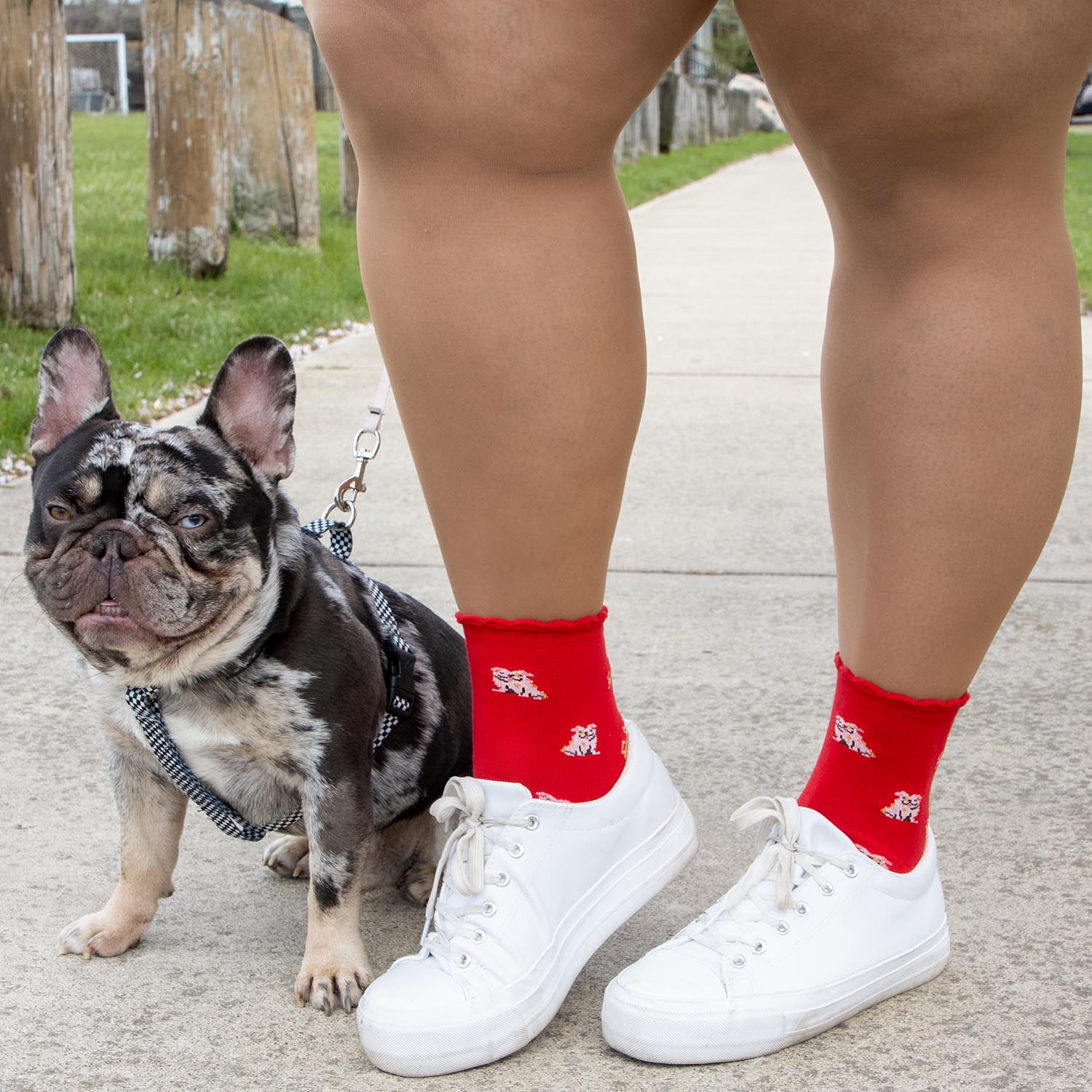Bamboo Ankle Socks - Woof