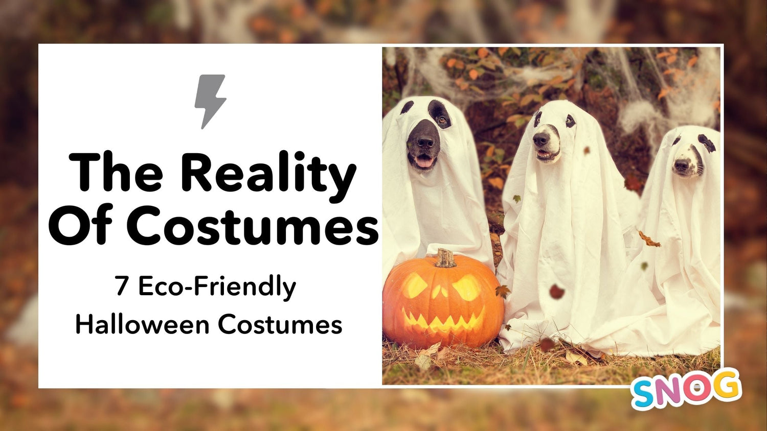 The Scary Reality Of Halloween: 7 Eco-friendly Costumes you Probably Already Own - Snag