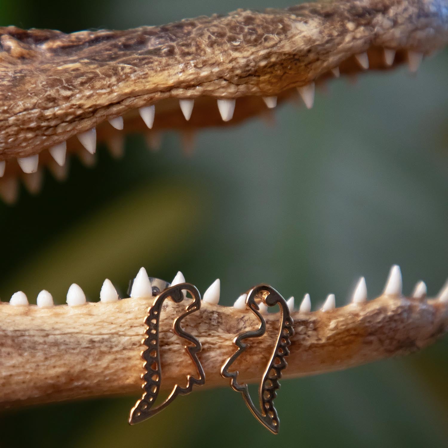 Dinosaur Stud Earrings - Gold